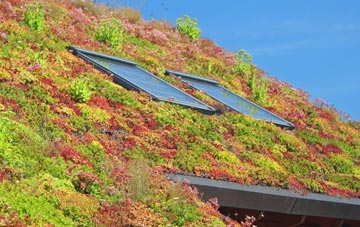 Charles living roof systems