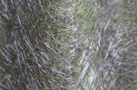 Charles fibreglass roof work